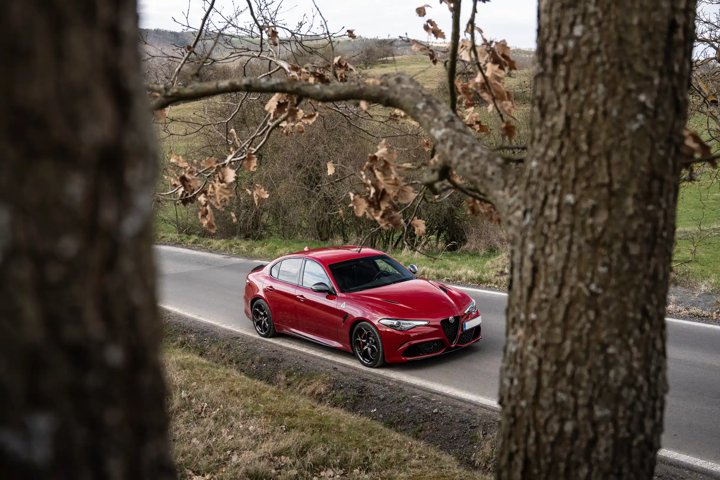 Alfa Romeo