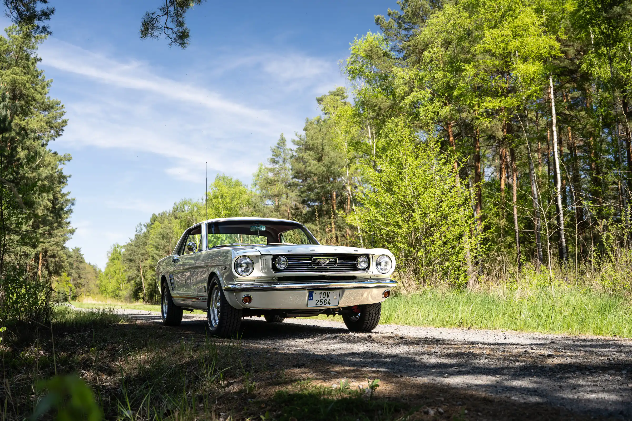 Mustang