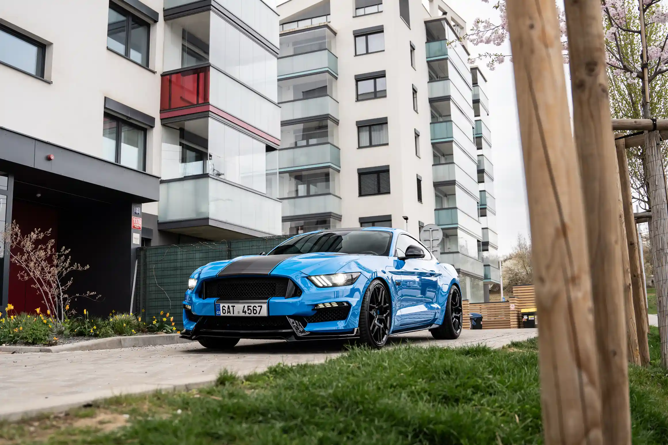 Mustang